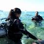 Горящие туры в отель International Arab Dive Center  - 4
