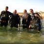 Горящие туры в отель International Arab Dive Center  - 2