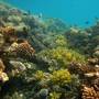 Горящие туры в отель Swisscare Nuweiba Resort Hotel  - 5