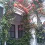 Горящие туры в отель Bougainvillea Riad - 6