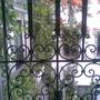 Горящие туры в отель Bougainvillea Riad - 5