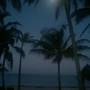 Горящие туры в отель Kilili Baharini Resort & Spa - 5