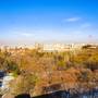 Горящие туры в отель New Park Hotel - 2