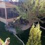 Горящие туры в отель Sinter Terasse House Hotel  - 4