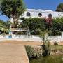 Горящие туры в отель Nubian Holiday House Aswan  - 5