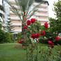 Горящие туры в отель Elysee Garden Family Hotel - 5