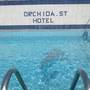 Горящие туры в отель Orchida St. George Hotel  - 4