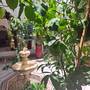 Горящие туры в отель Riad Mille Et Une Nuits - 4