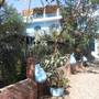 Горящие туры в отель Guesthouse Bet El Kerem  - 1