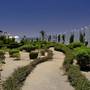 Горящие туры в отель Gorgonia Beach Resort - 6