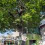 Горящие туры в отель Garden House Hotel Istanbul - 3