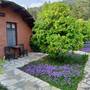 Горящие туры в отель Simurg Evleri Olympos  - 5