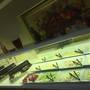 Горящие туры в отель Imamoglu Pasa Butik Hotel - 3