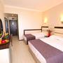 Горящие туры в отель Wien Star Hotel - 3