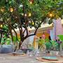 Горящие туры в отель Han Boutique Hotel, Sarigerme - 1