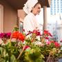 Горящие туры в отель The Marions Suite, Istanbul - 5