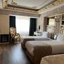 Горящие туры в отель Hotel Buyuk Hamit - 3