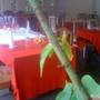 Горящие туры в отель Bush House & Camp  - 4