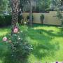 Горящие туры в отель Nergos Villa Gizem - 3
