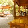 Горящие туры в отель Saban Tree Houses  - 2