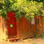 Горящие туры в отель Saban Tree Houses  - 6