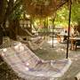 Горящие туры в отель Saban Tree Houses  - 4