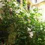 Горящие туры в отель Riad Lola Halima  - 4