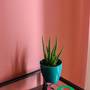 Горящие туры в отель No:11 Apartments - 5