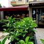 Горящие туры в отель Cityloft 36 - 1