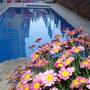 Горящие туры в отель Hildegard Hotel, Alanya - 6