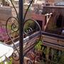 Горящие туры в отель Riad Turquoise - 3