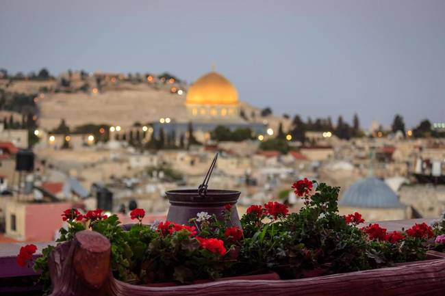 Хашими Отель