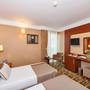 Горящие туры в отель Hotel Vicenza - 3