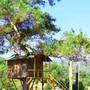 Горящие туры в отель Olympos Woods  - 3