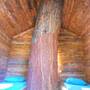 Горящие туры в отель Olympos Woods  - 2