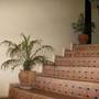 Горящие туры в отель Riad Idrissi  - 6