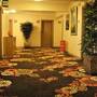 Горящие туры в отель Hotel Mithat - 2