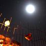 Горящие туры в отель Riad Le Lieu - 4