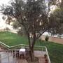 Горящие туры в отель Hotel Zileli - 2
