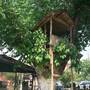 Горящие туры в отель Allgau Hotel  - 3