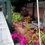 Горящие туры в отель Riad Aloes - 6