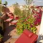 Горящие туры в отель Riad Aloes - 2