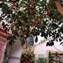 Горящие туры в отель Riad Dalia - 3