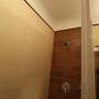 Горящие туры в отель Luxury Suites and Hotels-Jacaranda Marg  - 2