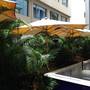 Горящие туры в отель Hotel Empire International Kormangala  - 3