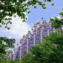 Горящие туры в отель Renaissance Shanghai Putuo Hotel - 1