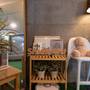 Горящие туры в отель Studio 41st Hostel Seoul Korea  - 4