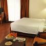 Горящие туры в отель Hotel Bangalore International  - 4