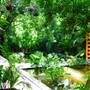 Горящие туры в отель TeaHouse Asian Urban Resort  - 5