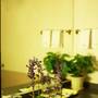 Горящие туры в отель Aosen Business Hotel Guilin  - 4